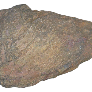 Genuine Permian Age Coprolite for Sale from Texas Red Beds #73