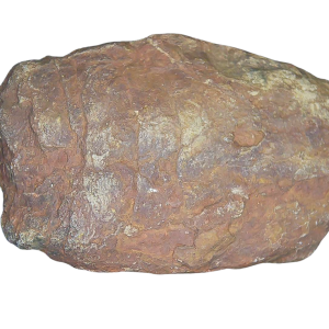 Genuine Permian Age Coprolite for Sale from Texas Red Beds #76