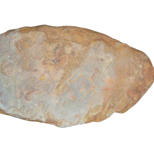 Genuine Permian Age Coprolite for Sale from Texas Red Beds #77