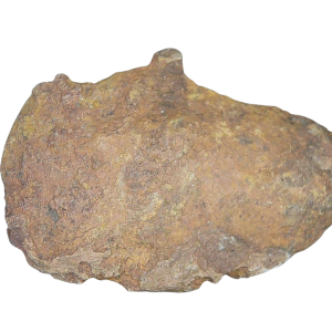 Genuine Permian Age Coprolite for Sale from Texas Red Beds #79