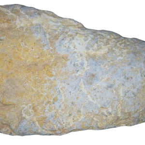 Genuine Permian Age Coprolite for Sale from Texas Red Beds #80