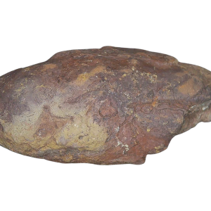 Genuine Permian Age Coprolite for Sale from Texas Red Beds #81