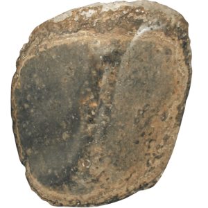 Rare Freshwater Oncolite Stromatolite from Mexico 16 | Fossils for Sale
