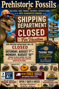 Shipping Closed | Fossils for Sale Shipping Closed