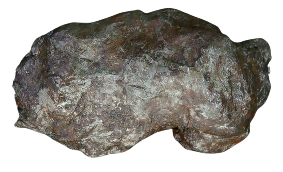 Sikhote-Alin Russian Meteorite For Sale 18 | Fossils for Sale Genuine Sikhote-Alin Russian Meteorite for Sale from Russia #18