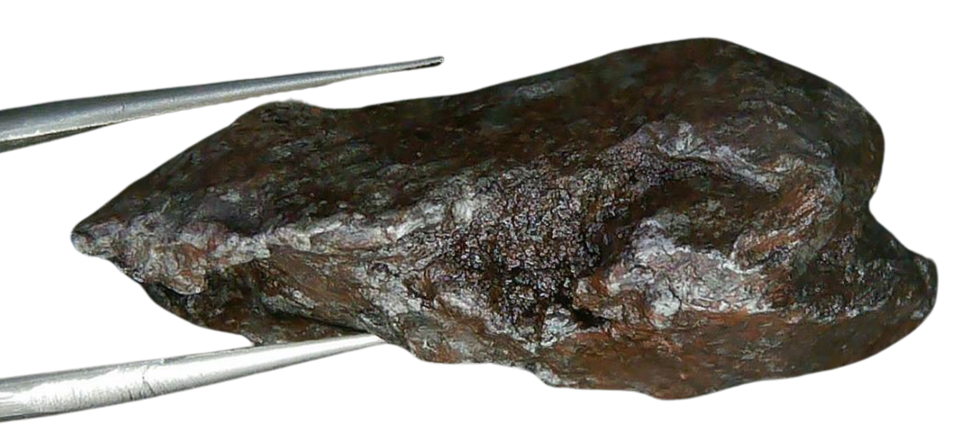 Sikhote-Alin Russian Meteorite For Sale 18b | Fossils for Sale Genuine Sikhote-Alin Russian Meteorite for Sale from Russia #18b