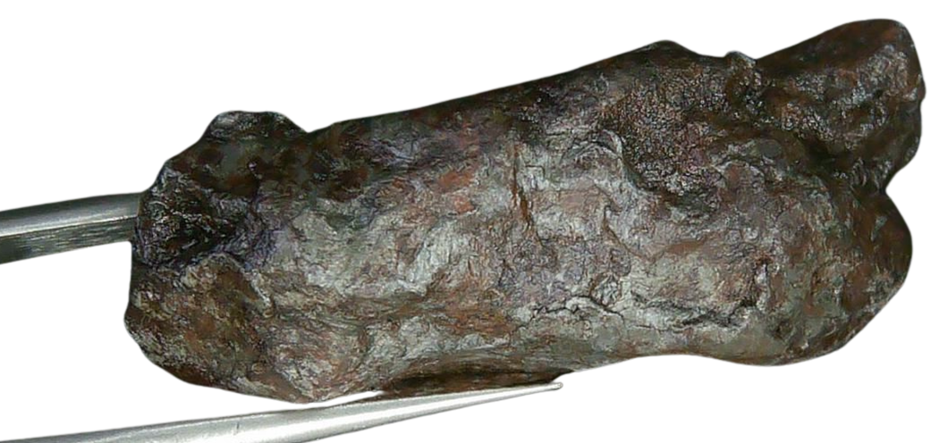 Sikhote-Alin Russian Meteorite For Sale 18c | Fossils for Sale Genuine Sikhote-Alin Russian Meteorite for Sale from Russia #18c