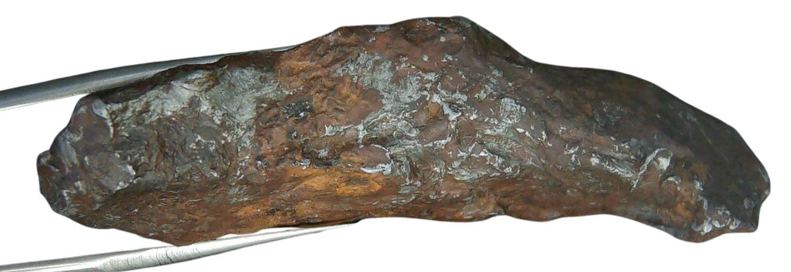 Sikhote-Alin Russian Meteorite For Sale 22c | Fossils for Sale