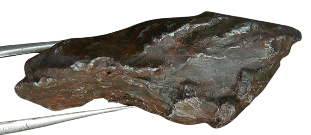 Sikhote-Alin Russian Meteorite For Sale 27a | Fossils for Sale