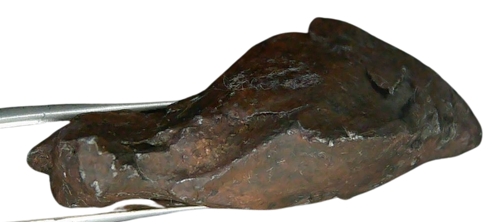Sikhote-Alin Russian Meteorite For Sale 27c | Fossils for Sale