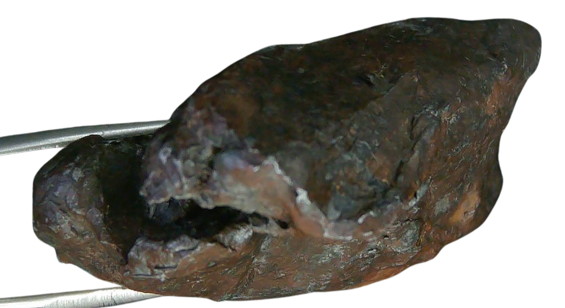 Sikhote-Alin Russian Meteorite For Sale 29a | Fossils for Sale