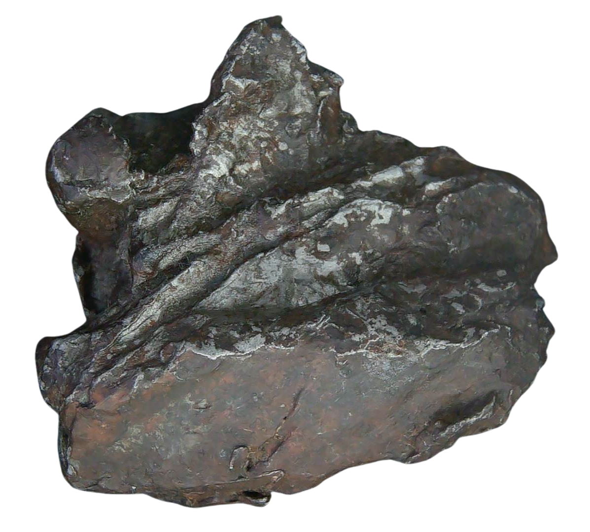 Sikhote-Alin Russian Meteorite For Sale 29b | Fossils for Sale