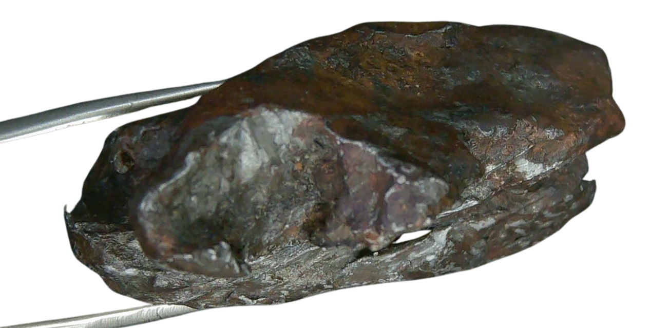 Sikhote-Alin Russian Meteorite For Sale 29c | Fossils for Sale