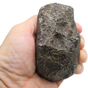 Genuine Campo Del Cielo Iron Meteorite for Sale from South America #67