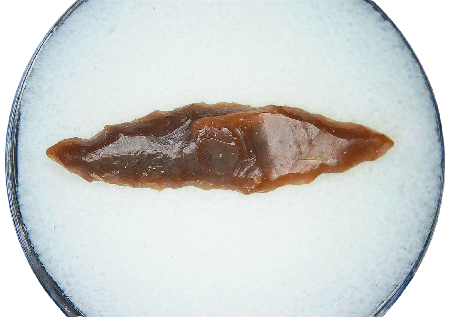 Paleolithic Stone Tools for Sale from Atlas Mountains 10 | Fossils for Sale Paleolithic Stone Tools for Sale from Atlas Mountains #10a