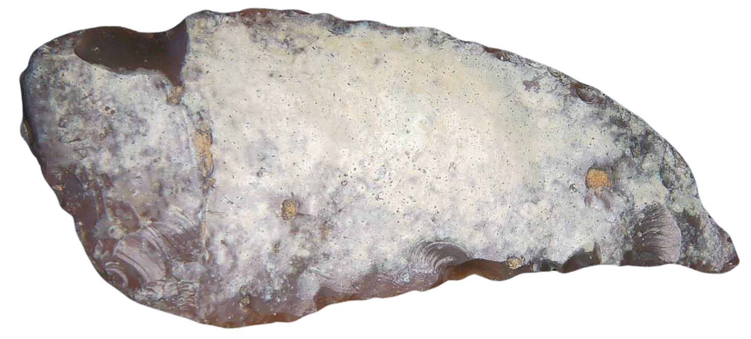 Paleolithic Stone Tools for Sale from Atlas Mountains 14 Scraper or Knife | Fossils for Sale Paleolithic Stone Tools for Sale from Atlas Mountains #14 (Scraper or Knife)