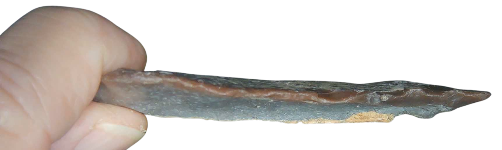 Paleolithic Stone Tools for Sale from Atlas Mountains 14 b Scraper or Knife | Fossils for Sale Paleolithic Stone Tools for Sale from Atlas Mountains #14b (Scraper or Knife)