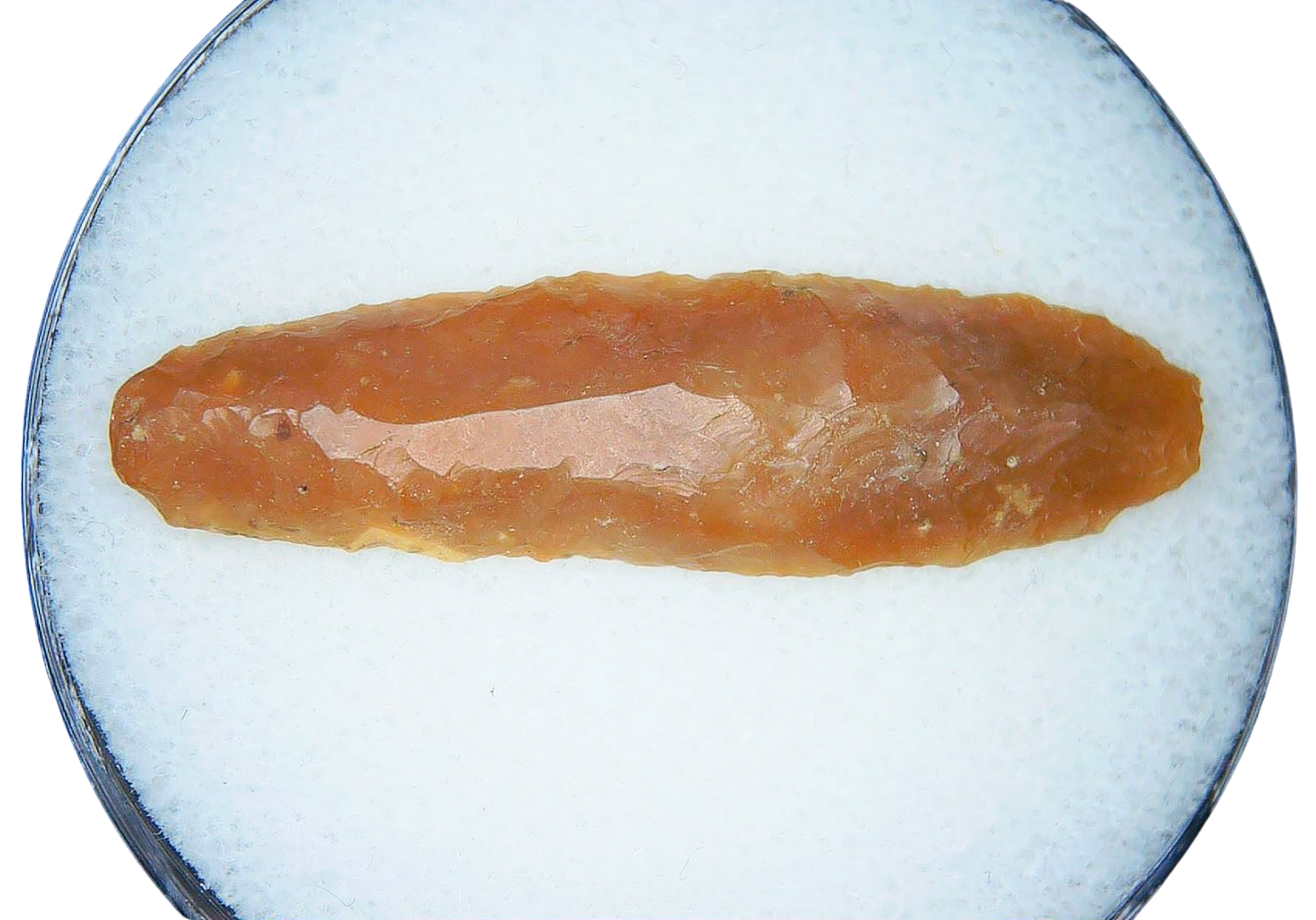 Paleolithic Stone Tools for Sale from Atlas Mountains 4 | Fossils for Sale Paleolithic Stone Tools for Sale from Atlas Mountains #4