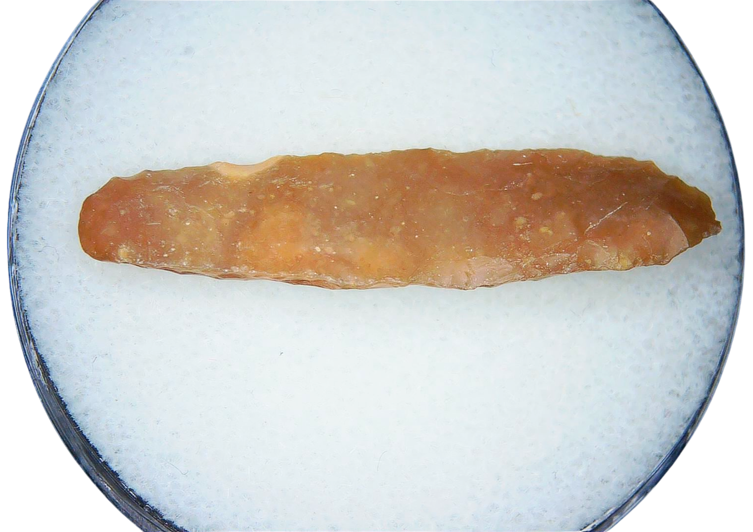 Paleolithic Stone Tools for Sale from Atlas Mountains 4a | Fossils for Sale Paleolithic Stone Tools for Sale from Atlas Mountains #4a