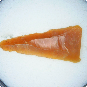 Paleolithic Stone Tools for Sale from Atlas Mountains 8 | Fossils for Sale Paleolithic Stone Tools for Sale from Atlas Mountains #8