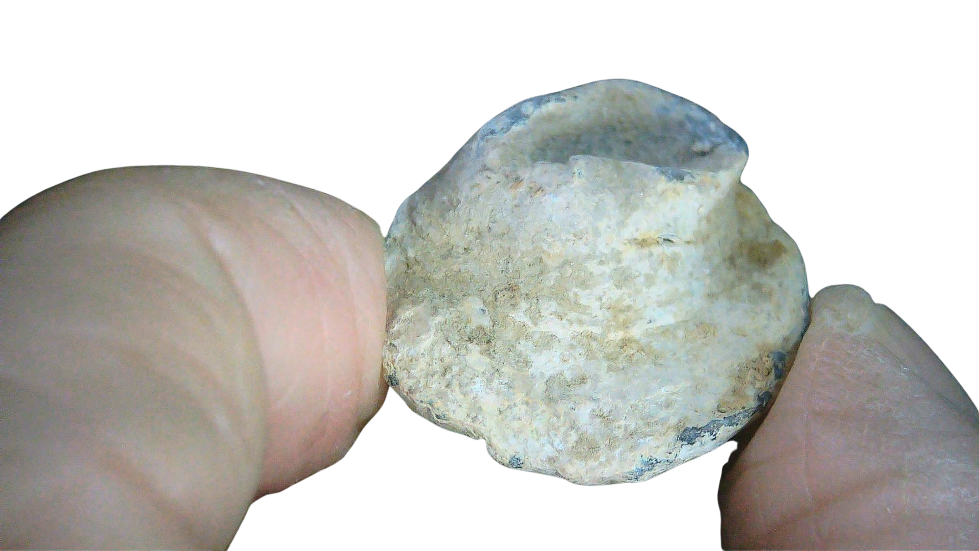 Civil War Artifacts For Sale Authentic Civil War Relics 14c | Fossils for Sale