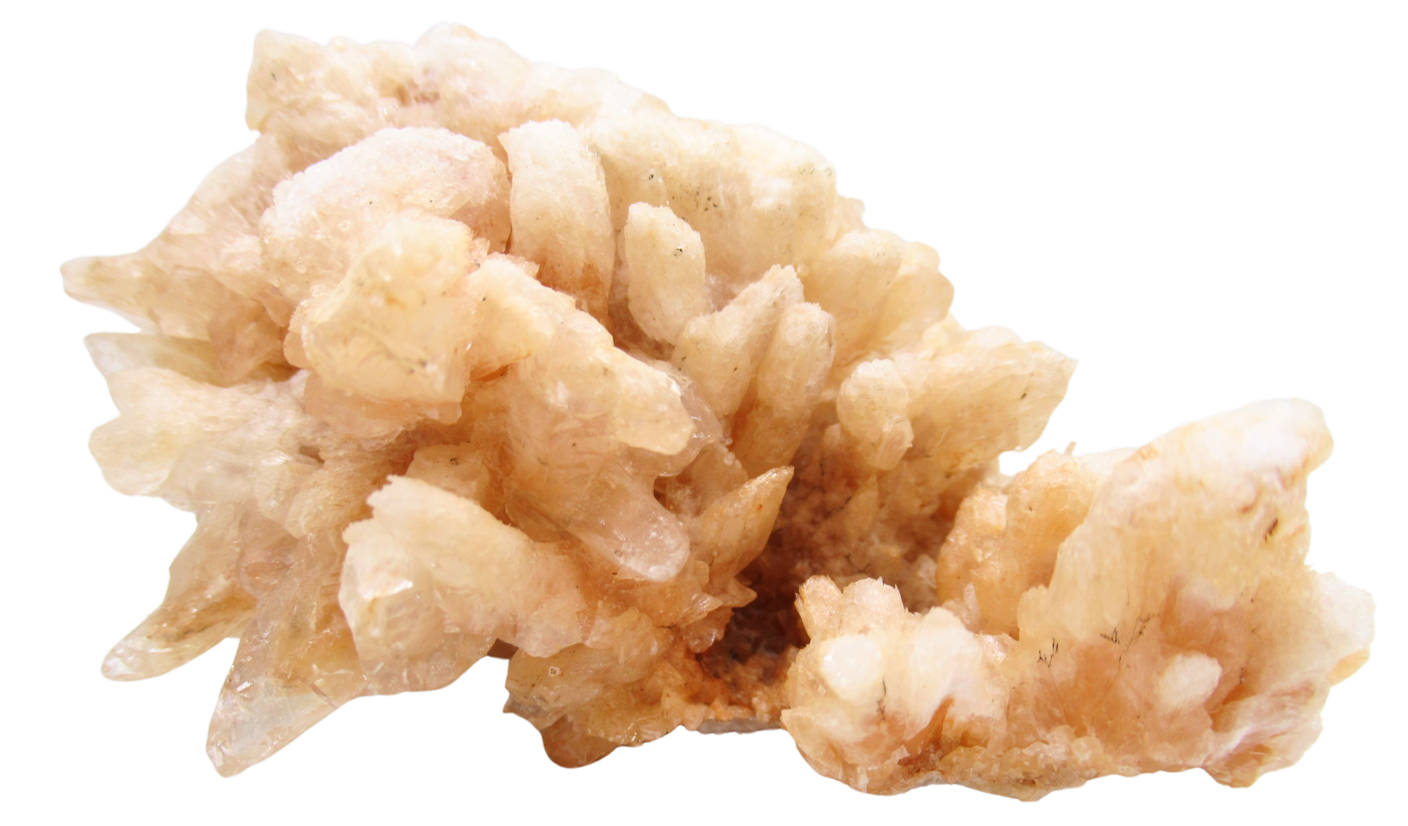Dogtooth Calcite Minerals for Sale from Morocco Calcium Carbonate 6 | Fossils for Sale Dogtooth Calcite Minerals for Sale from Morocco Calcium Carbonate #6