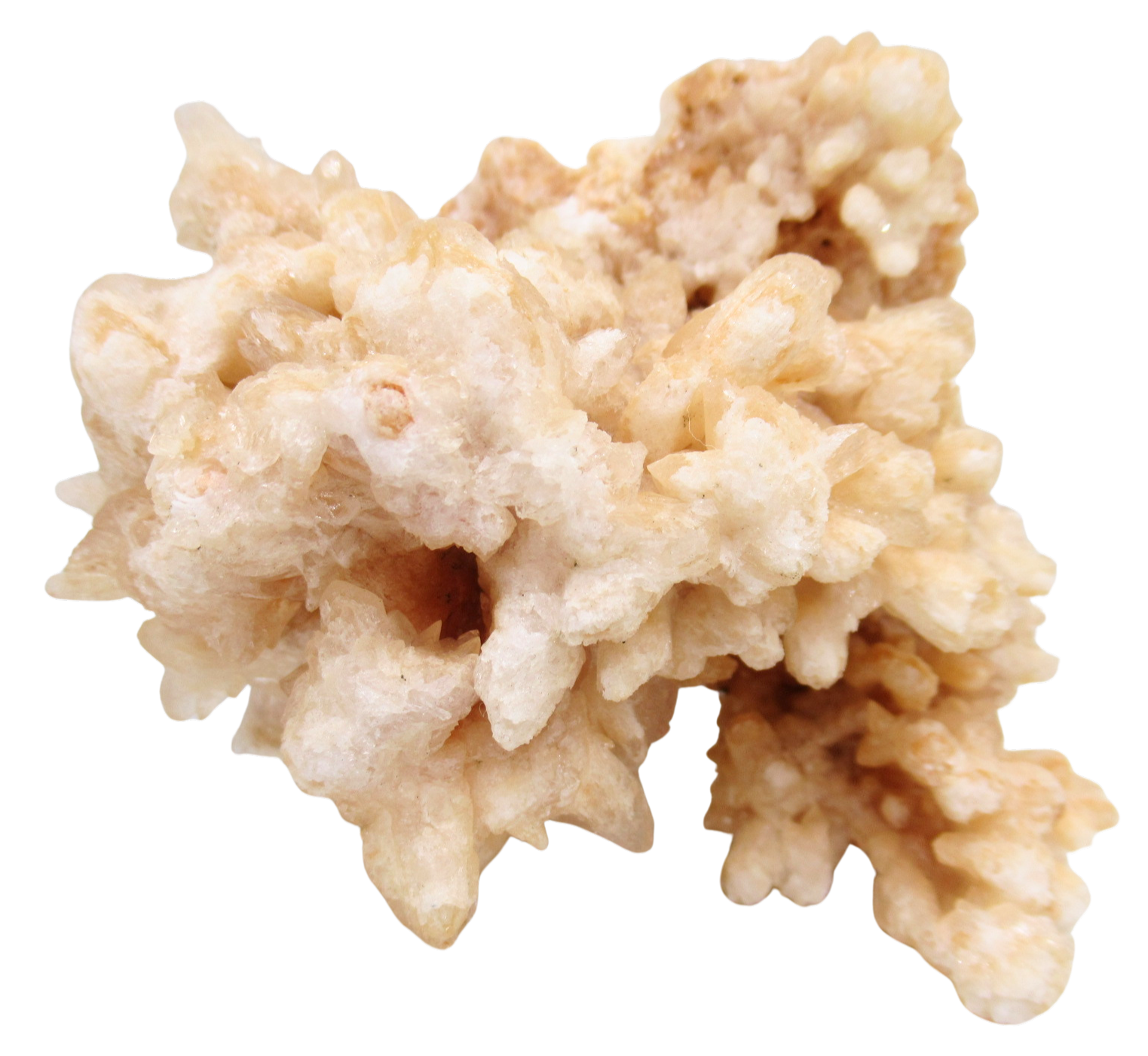 Dogtooth Calcite Minerals for Sale from Morocco Calcium Carbonate 6a | Fossils for Sale Dogtooth Calcite Minerals for Sale from Morocco Calcium Carbonate #6a