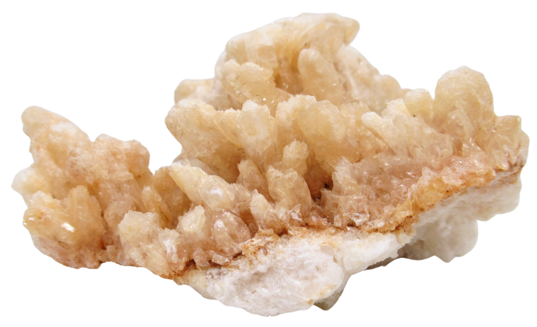 Dogtooth Calcite Minerals for Sale from Morocco Calcium Carbonate 6b | Fossils for Sale Dogtooth Calcite Minerals for Sale from Morocco Calcium Carbonate #6b