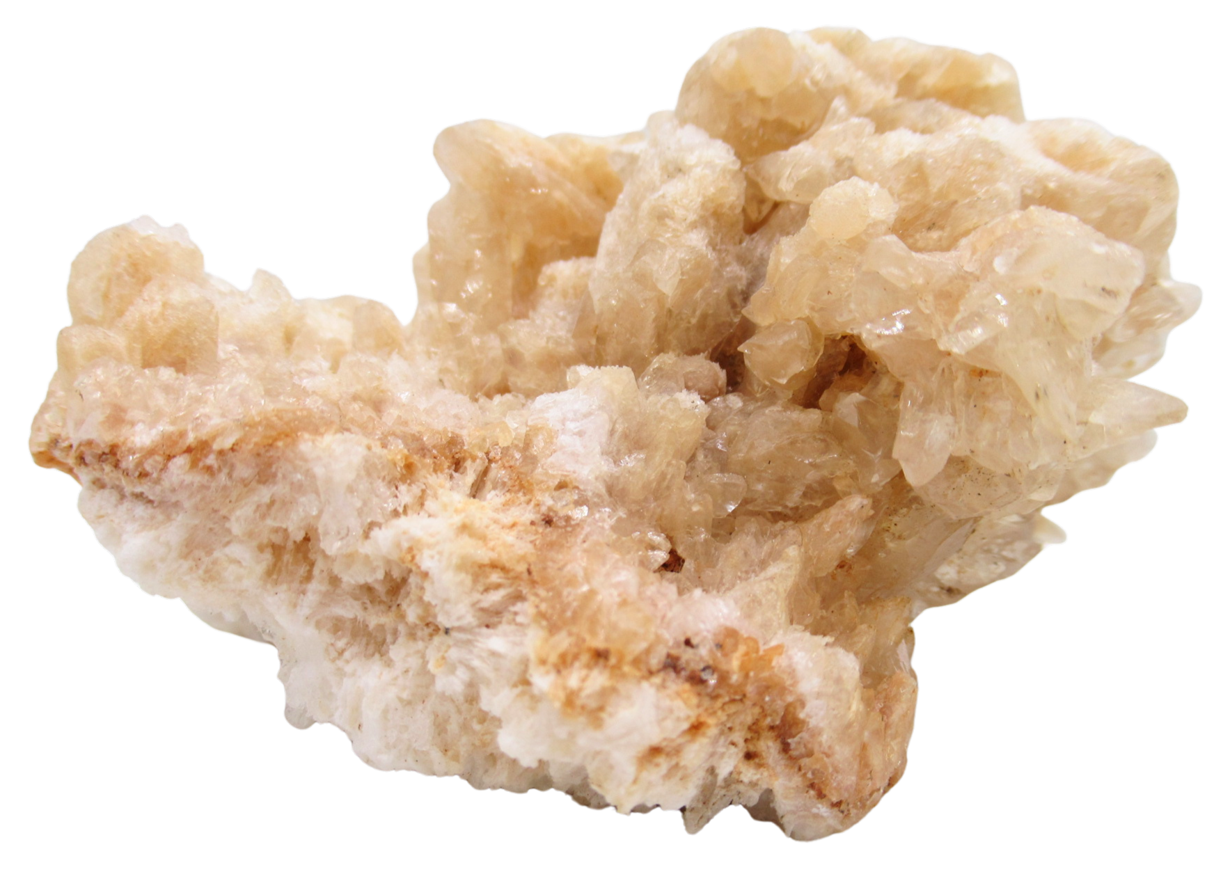 Dogtooth Calcite Minerals for Sale from Morocco Calcium Carbonate 6c | Fossils for Sale Dogtooth Calcite Minerals for Sale from Morocco Calcium Carbonate #6c