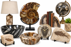 Fossil Home Decor For Sale