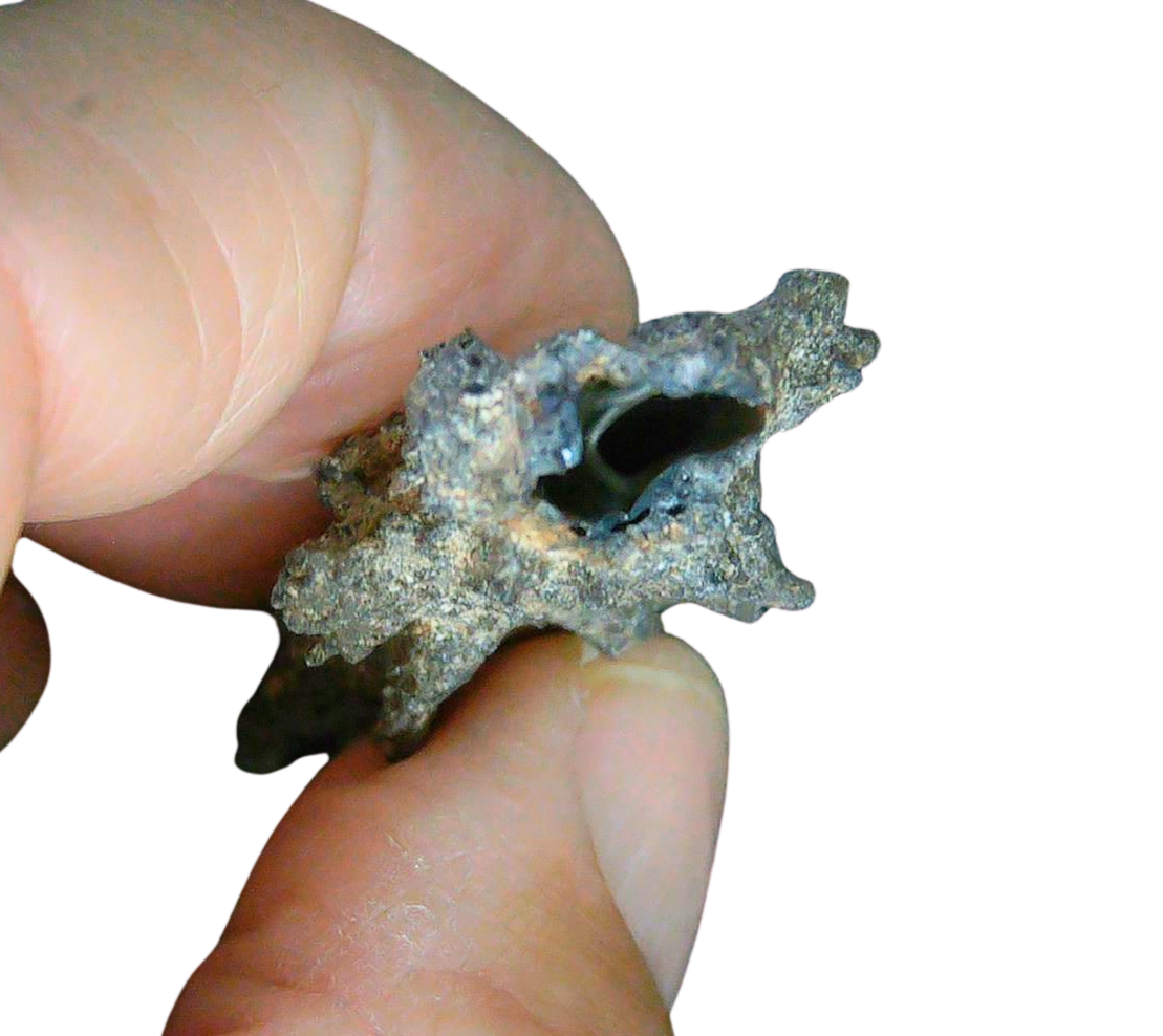 Fossil Lightning Fulgurites For Sale Lightning Glass Created by Lightning Strikes 231 Long 25c | Fossils for Sale Genuine Fulgurite “Fossil Lightening” from Sahara Desert N. Africa for Sale #25c