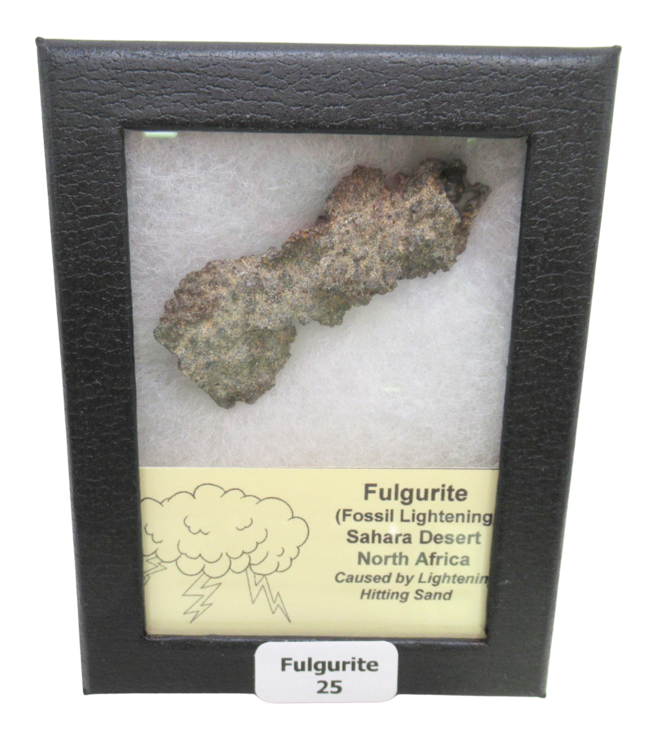 Fossil Lightning Fulgurites For Sale Lightning Glass Created by Lightning Strikes25 | Fossils for Sale Genuine Fulgurite “Fossil Lightening” from Sahara Desert N. Africa for Sale #25