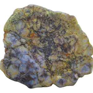 Jurassic Dinosaur Coprolite For Sale Genuine Fossil Dino Poop 120 | Fossils for Sale Jurassic Dinosaur Coprolite For Sale Genuine Fossil Dino Poop 120