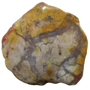 Jurassic Dinosaur Coprolite For Sale Genuine Fossil Dino Poop 122 | Fossils for Sale Jurassic Dinosaur Coprolite For Sale Genuine Fossil Dino Poop 122