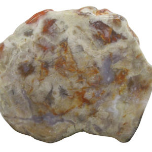 Jurassic Dinosaur Coprolite For Sale Genuine Fossil Dino Poop 124 | Fossils for Sale Jurassic Dinosaur Coprolite For Sale Genuine Fossil Dino Poop 124