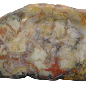 Jurassic Dinosaur Coprolite For Sale Genuine Fossil Dino Poop 127 | Fossils for Sale Jurassic Dinosaur Coprolite For Sale Genuine Fossil Dino Poop 127