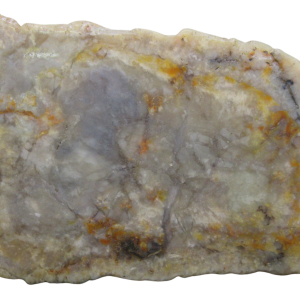 Jurassic Dinosaur Coprolite For Sale Genuine Fossil Dino Poop 130 | Fossils for Sale Jurassic Dinosaur Coprolite For Sale Genuine Fossil Dino Poop 130