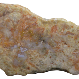 Jurassic Dinosaur Coprolite For Sale Genuine Fossil Dino Poop 131 | Fossils for Sale Jurassic Dinosaur Coprolite For Sale Genuine Fossil Dino Poop 131