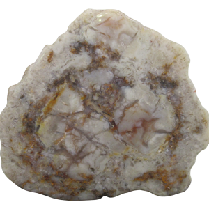 Jurassic Dinosaur Coprolite For Sale Genuine Fossil Dino Poop 132 | Fossils for Sale Jurassic Dinosaur Coprolite For Sale Genuine Fossil Dino Poop 132