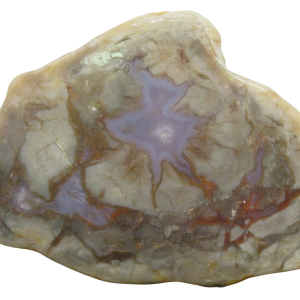 Jurassic Dinosaur Coprolite For Sale Genuine Fossil Dino Poop 133 | Fossils for Sale Jurassic Dinosaur Coprolite For Sale Genuine Fossil Dino Poop 133