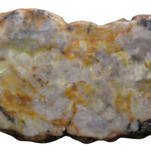 Jurassic Dinosaur Coprolite For Sale Genuine Fossil Dino Poop 136 | Fossils for Sale Jurassic Dinosaur Coprolite For Sale Genuine Fossil Dino Poop 136