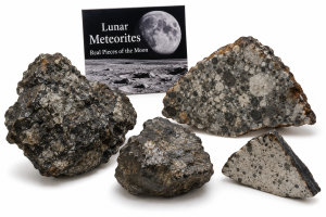 Lunar Meteorites | Fossils for Sale Lunar Meteorites Fossils For Sale