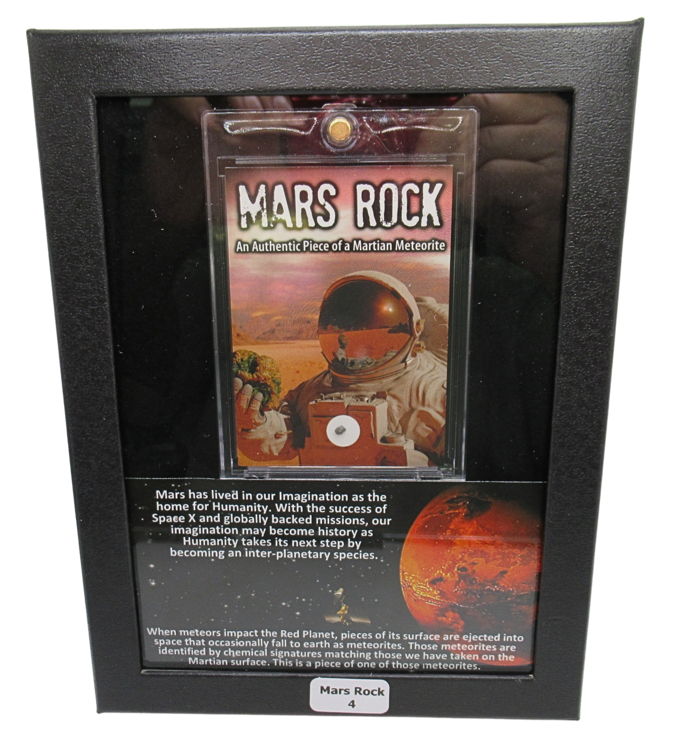 Mars Rock Meteorite For Sale Genuine Martian Meteorites 4 | Fossils for Sale Genuine Mars Rock Meteorite for Sale #4