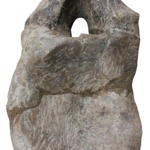 Rebbachisaurus Dinosaur Fossil For Sale Genuine Dinosaur Bone 6 | Fossils for Sale Rebbachisaurus Dinosaur Fossil For Sale Genuine Dinosaur Bone 6