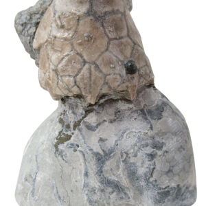 Waldron Shale Crinoid Fossil For Sale Genuine Silurian Fossils Eucalyptocrinites 7