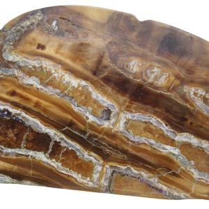 Woolly Mammoth Tooth Fossil For Sale Genuine Ice Age Fossils Tooth Slice 57 | Fossils for Sale Woolly Mammoth Tooth Fossil For Sale Genuine Ice Age Fossils Tooth Slice 57