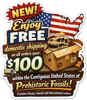 Free Shipping